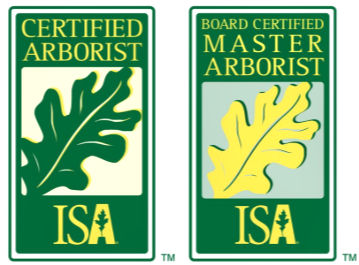 ISA Certified Arborist License — Bellaires Arborist ISA Certified Arborist license for Bellaires Arborist in Bellaire, Texas